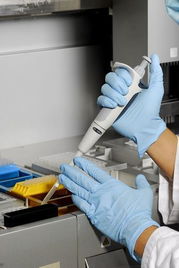 萊茵技術商檢青島食品實驗室 技術交流與創新發展